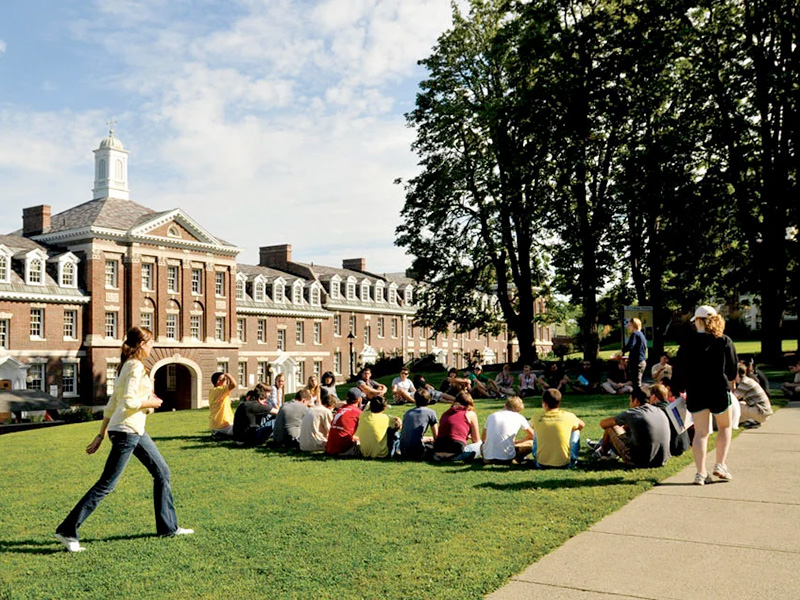 Class meeting outside on the lawn